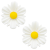 e91ff931b34fbccd629df0a646968daf.png