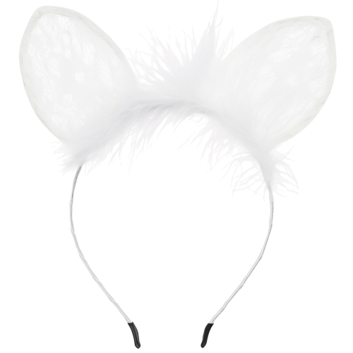ac0ff8e7f38007329574fade84317c9b.png