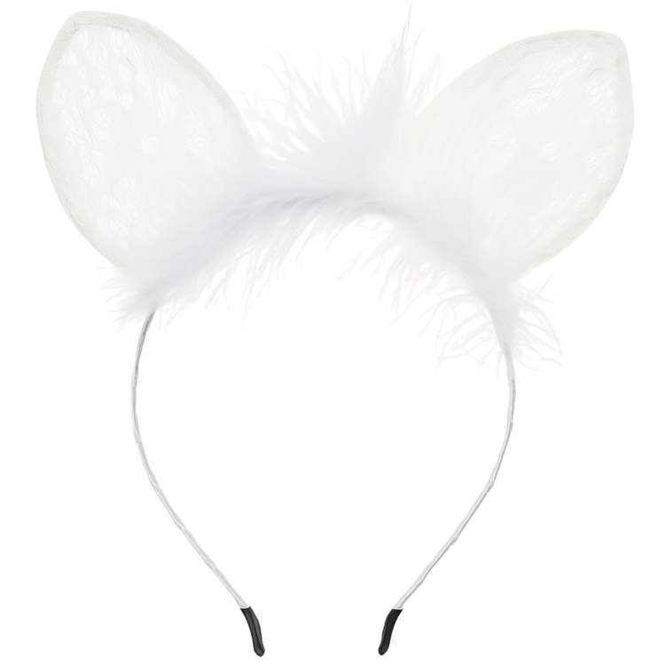 ac0ff8e7f38007329574fade84317c9b.png