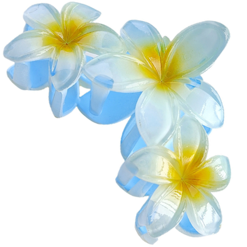 acd425aa0da53ea6fcd9edec0dee00cc.png