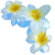 acd425aa0da53ea6fcd9edec0dee00cc.png
