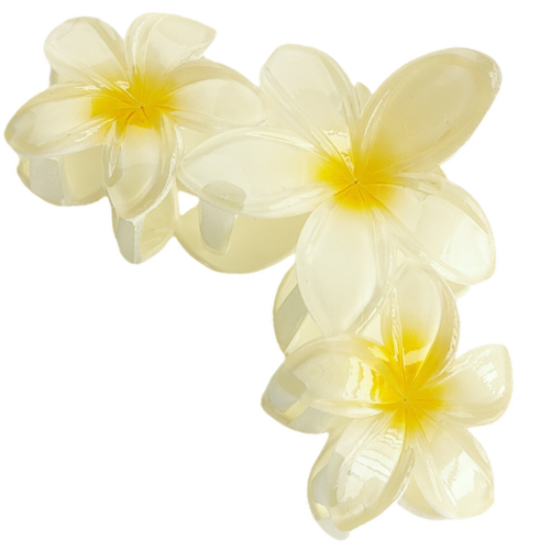 301a2e4771a808cade48ac12d0de9d29.png