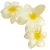 301a2e4771a808cade48ac12d0de9d29.png
