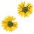 18bcca8f5fe246388acfceba861c3c8b.png