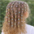 524f57dbff5542c829ae77585a9ffdae.png