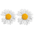 193c9e09f9192976cb6db020176cb196.png