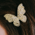 03ab161a4b4fe568d1cff17c861dc398.png
