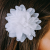 1ab223411ca5908f9cbeb6bcb1d8bbcc.png