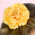 ed63a32a2c64695653d6ce72edbaa8f6.png