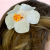 86778a926d3fe1ea940caa659afe9b73.png