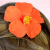 476f0fbf4879ebd62c06a282c579f2a9.png