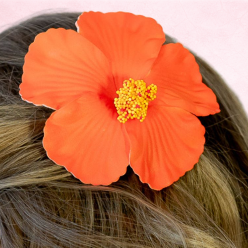 476f0fbf4879ebd62c06a282c579f2a9.png