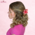 d37d24a4799cad3f2f35565384d573a4.png