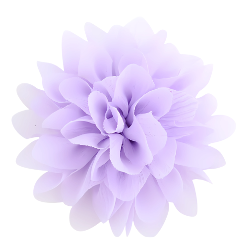 d3cb0f5841fc455089853194a7b484e4.png