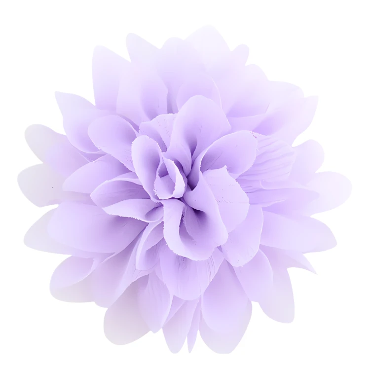 d3cb0f5841fc455089853194a7b484e4.png
