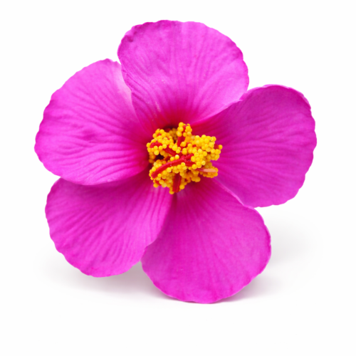 d9db04d78431343a9f13ee903d1dae5b.png