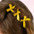 a3b063813390a28942fc64958ef03538.png