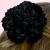 58d0723f8a75e55fa59e9352fb8645eb.png
