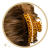 0830ce2042d1570b0dfc9d3c188ba631.png