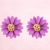 fbd2acc6bfaf638cfe42d1aba2958718.png
