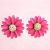 478c47984adbadf9172902c6f8f5be4b.png