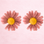 6b753722259440ebfe73ea6d20d8c69b.png