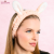 1ce2630df854de746f93f9f1c951ecf1.png