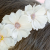 0082dcef67c7bc9136cd3949a5b94ae7.png
