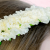 9550161bc1d8507097c9424ff56a1100.png