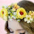 0c6fdbdb6209b6289e45583a1a0fc2fe.png